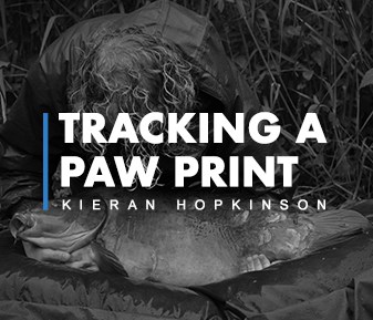 Tracking A Paw Print